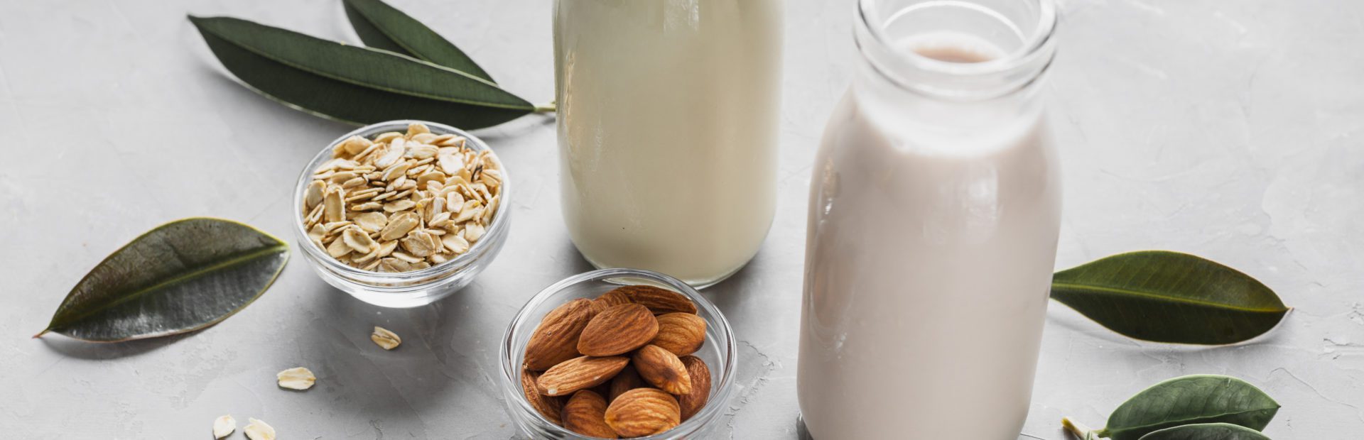 Leites Vegetais