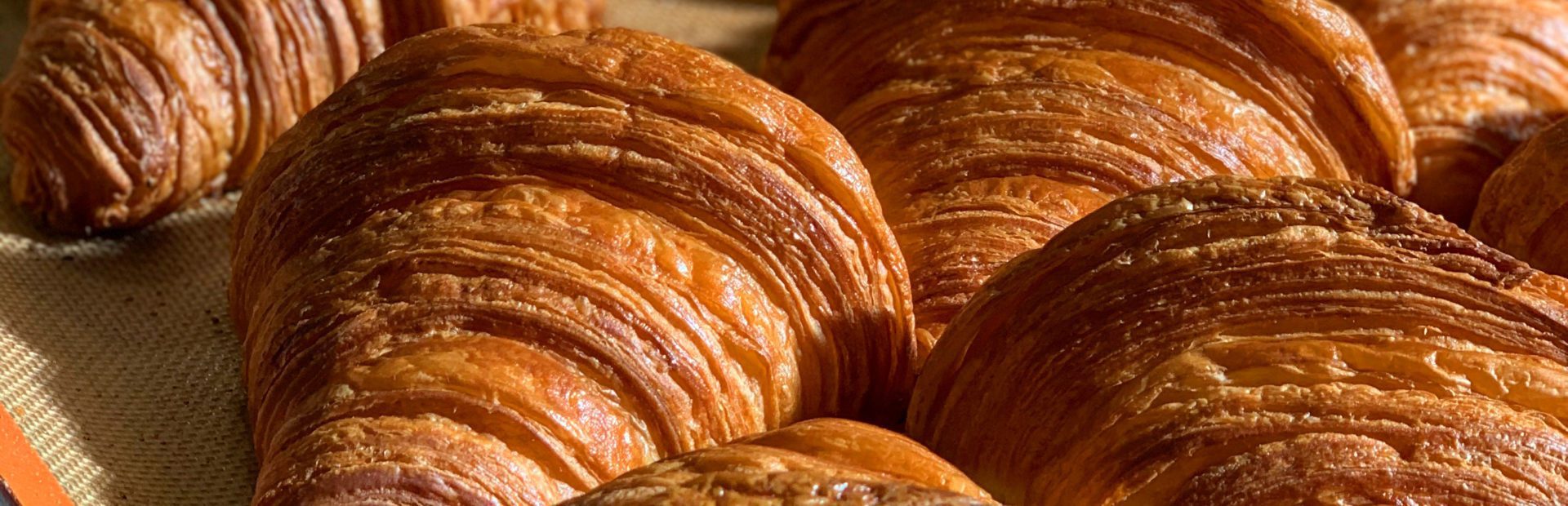 Viva Bakery
