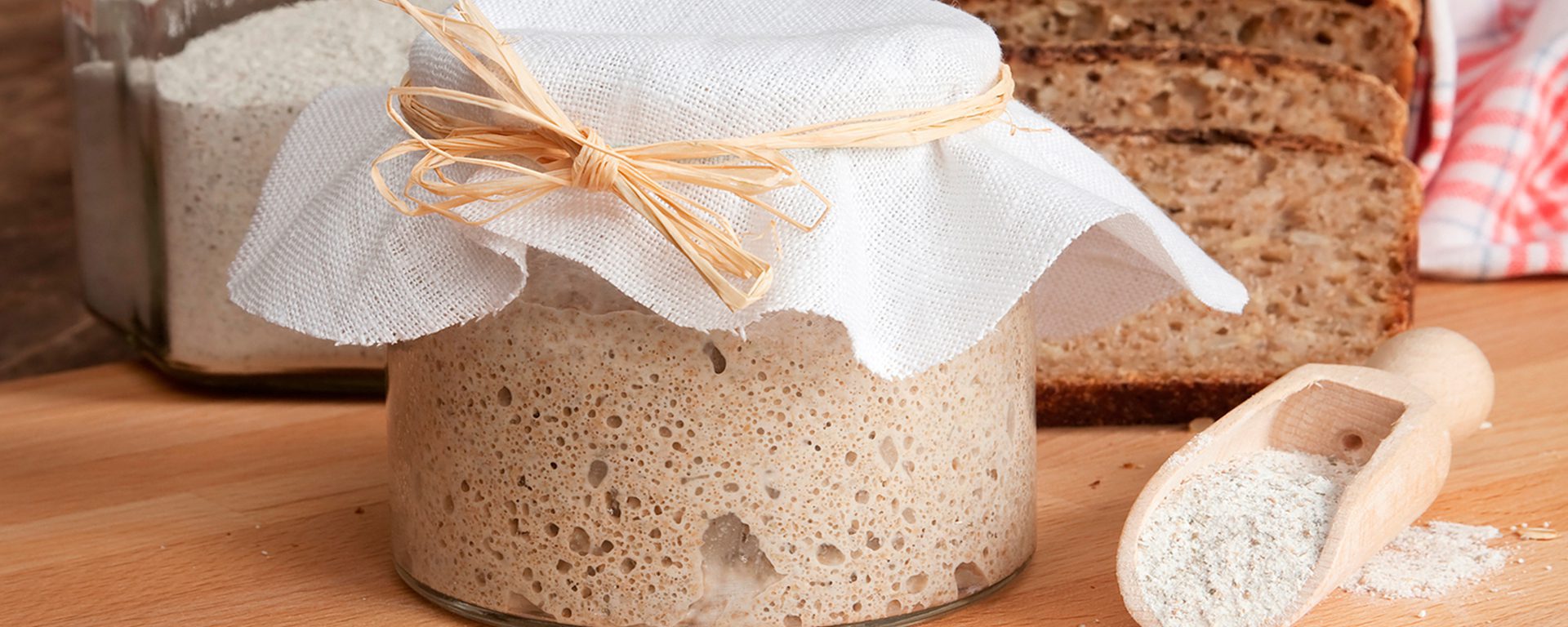 sourdough starter