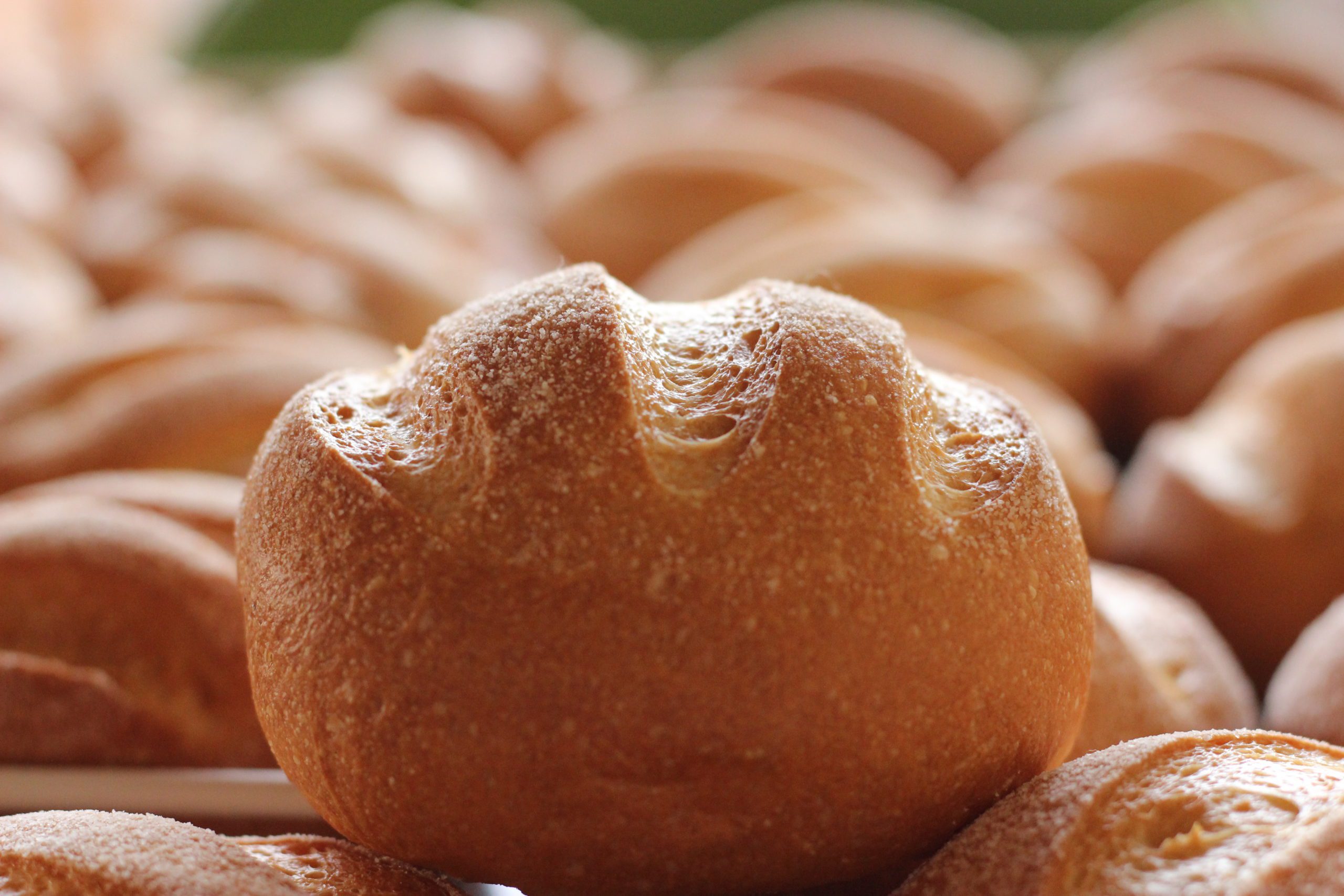Pao de Chivito