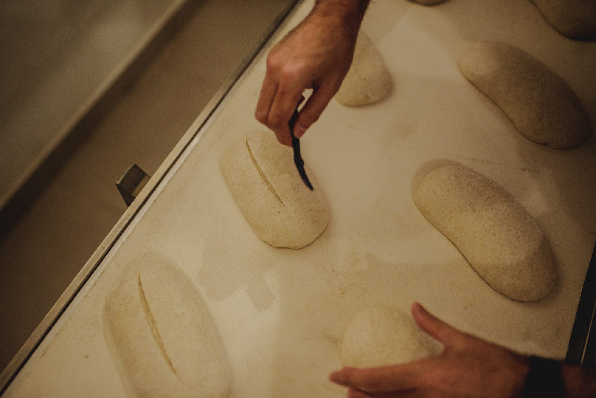 Tipos de Corte de Pães