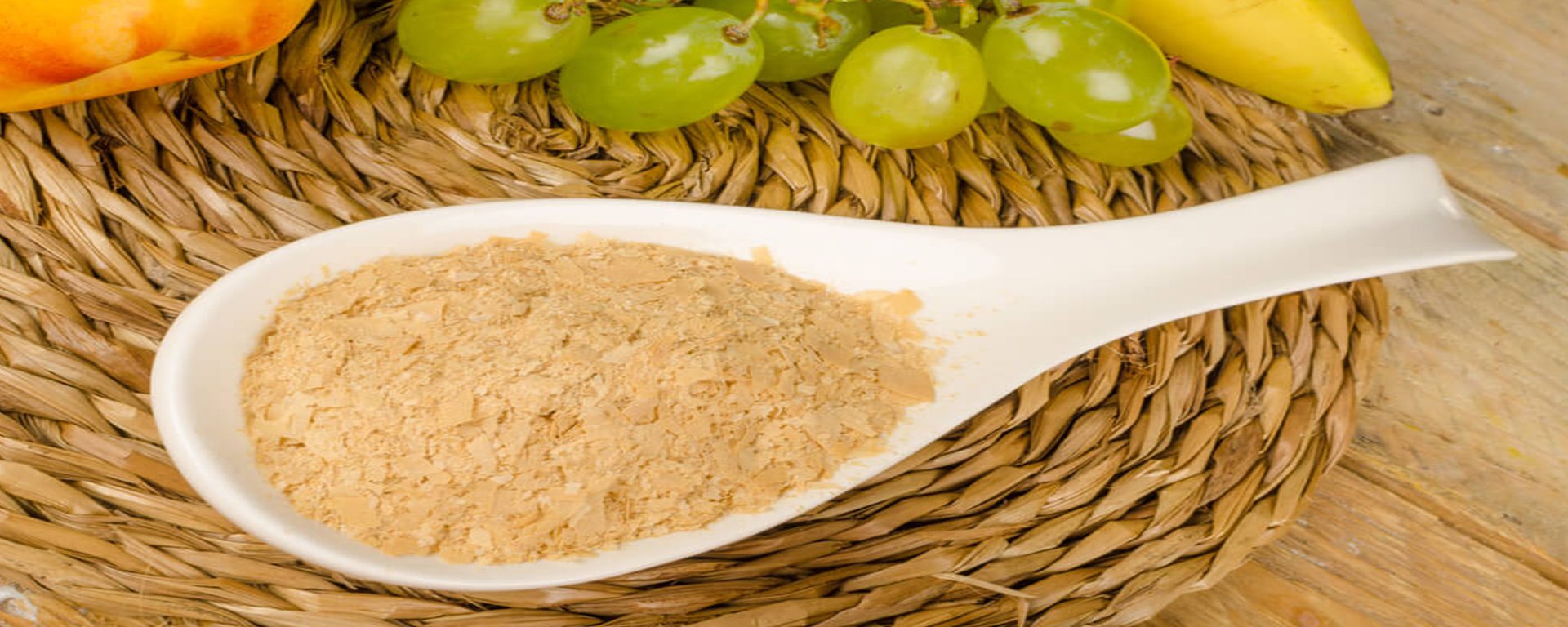 tipos de fermentos