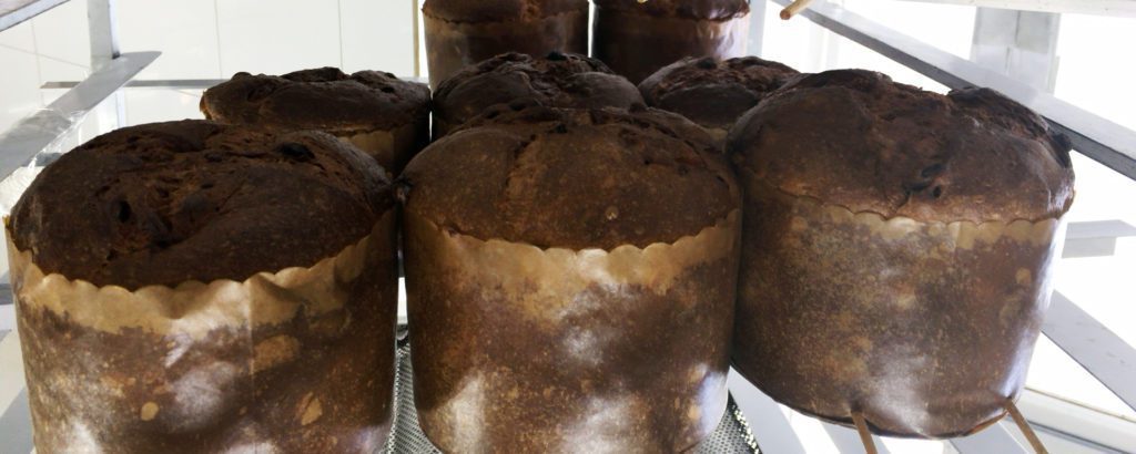panettone