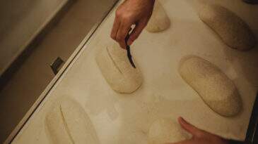 Guia rápido: os principais tipos de corte para pães