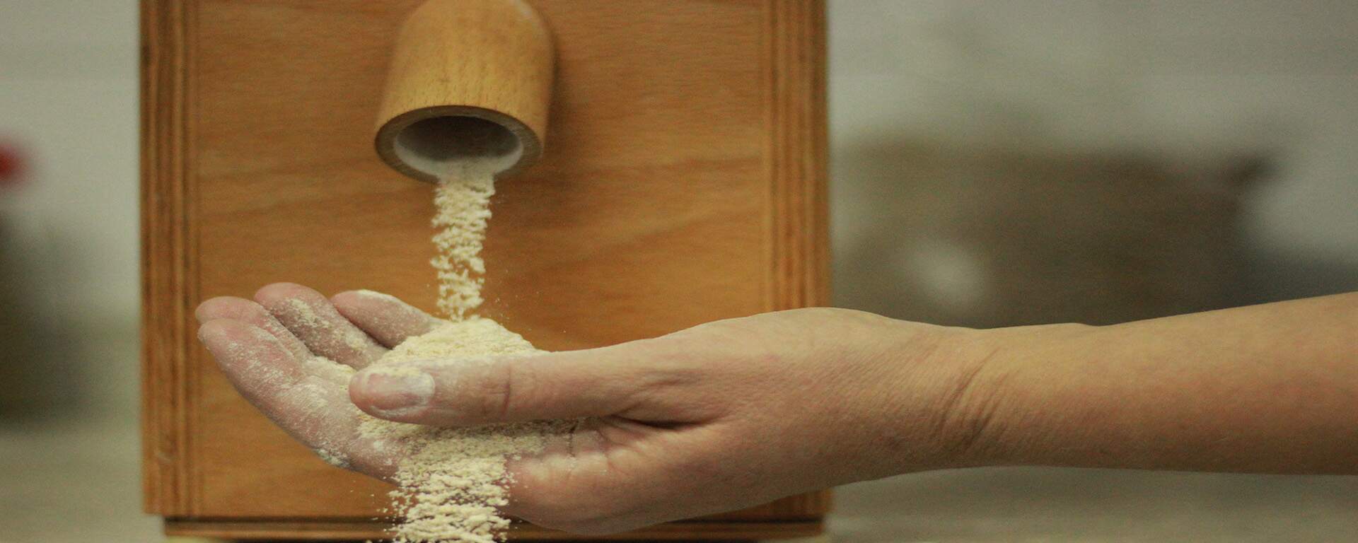 Pão de farinha de trigo integral – A minha visão pessoal