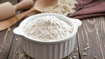 Quais são os tipos de farinha que podem substituir a farinha de trigo?