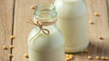 Conheça 6 tipos de leite vegetal para oferecer em sua padaria