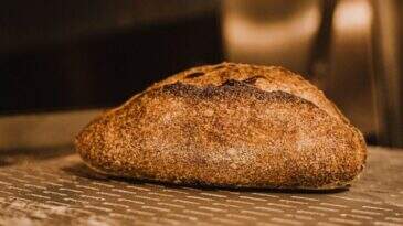 Como a altura do teto do forno influencia a qualidade do pão